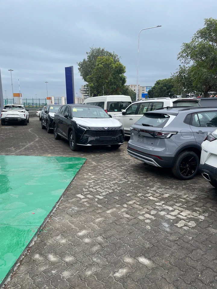 Vehicles awaiting export processing